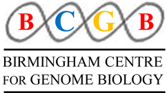 BCGB logo